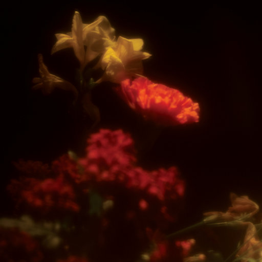 看老妇女人毛片
